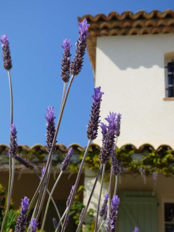 Bed and Breakfast Azurea Valbonne Exteriér fotografie